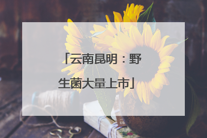 云南昆明：野生菌大量上市