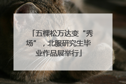 五棵松万达变“秀场”，北服研究生毕业作品展举行