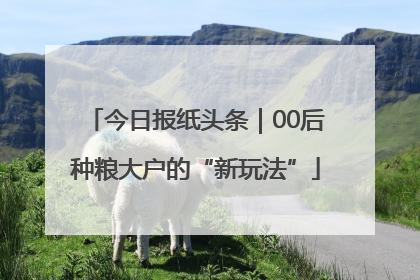 今日报纸头条｜00后种粮大户的“新玩法”