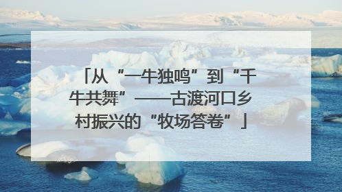 从“一牛独鸣”到“千牛共舞”——古渡河口乡村振兴的“牧场答卷”
