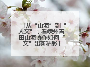从“山海”到“人文”，看嵊州青田山海协作如何“文”出新精彩
