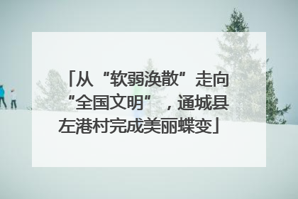从“软弱涣散”走向“全国文明”，通城县左港村完成美丽蝶变