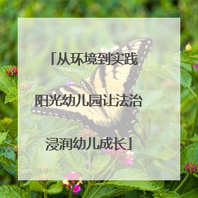 从环境到实践 阳光幼儿园让法治浸润幼儿成长
