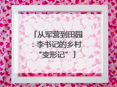 从军营到田园：李书记的乡村 “变形记”