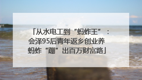从水电工到“蚂蚱王”：会泽95后青年返乡创业养蚂蚱“蹦”出百万财富路