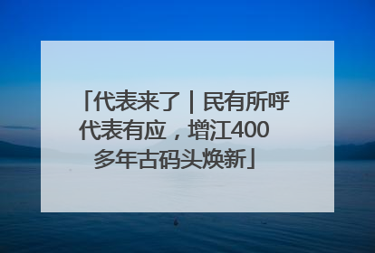 代表来了｜民有所呼代表有应，增江400多年古码头焕新
