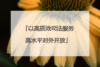 以高质效司法服务高水平对外开放