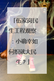 伍家岗民生工程观察：小确幸如何织就大民生？
