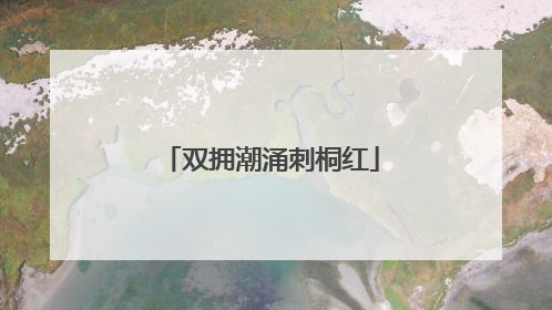 双拥潮涌刺桐红
