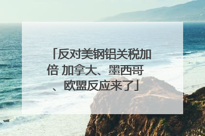 反对美钢铝关税加倍 加拿大、墨西哥、欧盟反应来了