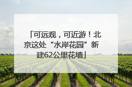可远观，可近游！北京这处“水岸花园”新建62公里花墙