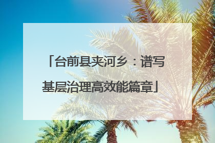 台前县夹河乡：谱写基层治理高效能篇章
