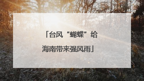 台风“蝴蝶”给海南带来强风雨