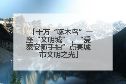 十万“啄木鸟”一座“文明城”，“爱泰安随手拍”点亮城市文明之光