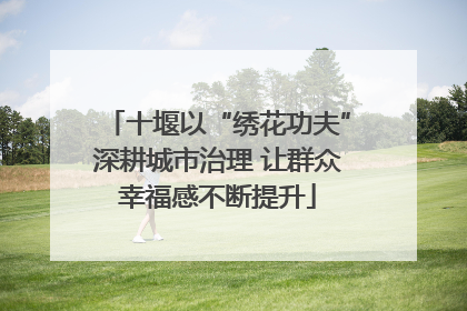 十堰以“绣花功夫”深耕城市治理 让群众幸福感不断提升