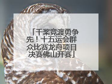 千桨竞渡勇争先！十五运会群众比赛龙舟项目决赛佛山开赛