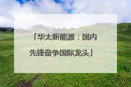 华太新能源：国内先锋奋争国际龙头
