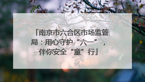 南京市六合区市场监管局：用心守护“六一”，伴你安全“童”行