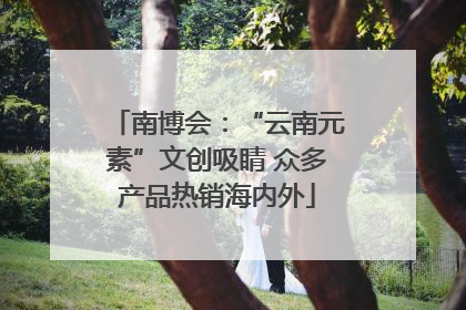南博会：“云南元素”文创吸睛 众多产品热销海内外