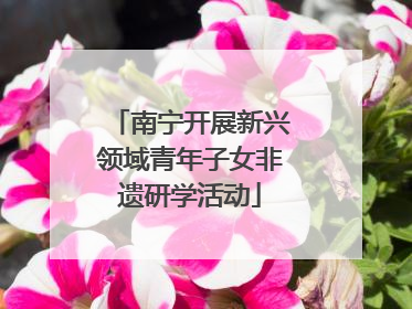 南宁开展新兴领域青年子女非遗研学活动