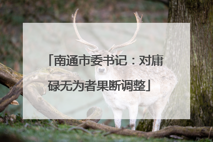 南通市委书记：对庸碌无为者果断调整
