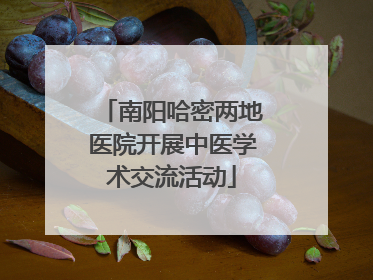 南阳哈密两地医院开展中医学术交流活动