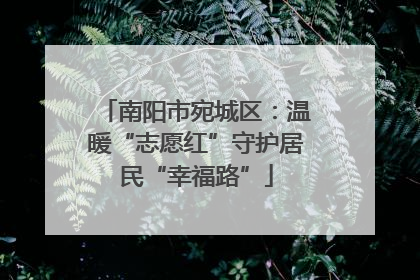南阳市宛城区：温暖“志愿红”守护居民“幸福路”