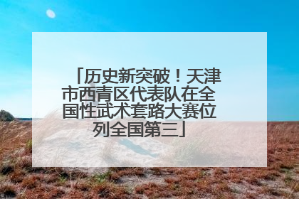 历史新突破！天津市西青区代表队在全国性武术套路大赛位列全国第三