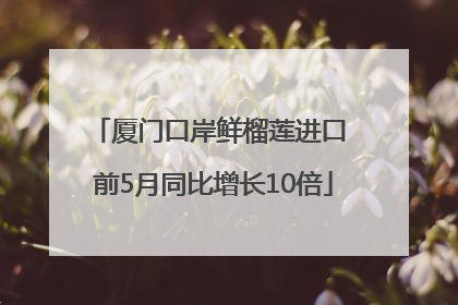厦门口岸鲜榴莲进口 前5月同比增长10倍