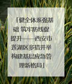 健全体系强基础 筑牢防线促提升——西安市莲湖区多措并举构建基层应急管理新格局