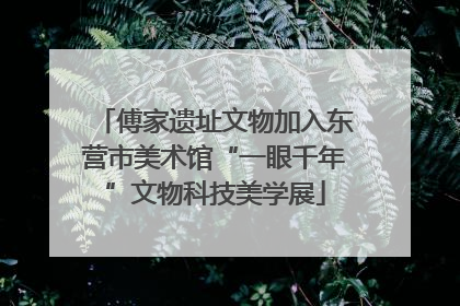 傅家遗址文物加入东营市美术馆“一眼千年”文物科技美学展