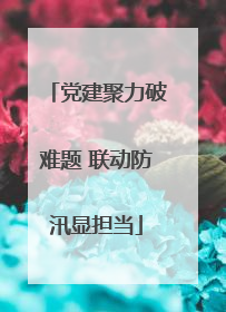 党建聚力破难题 联动防汛显担当