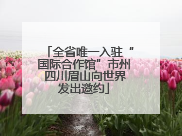 全省唯一入驻“国际合作馆”市州 四川眉山向世界发出邀约