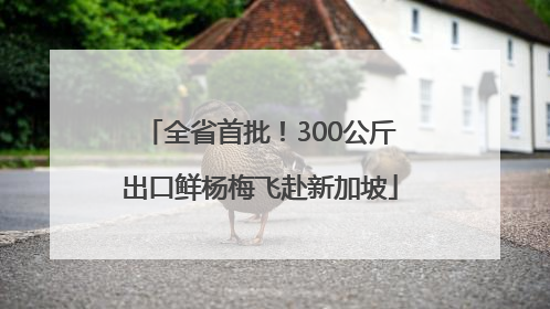 全省首批！300公斤出口鲜杨梅飞赴新加坡
