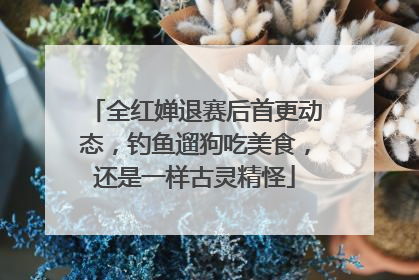 全红婵退赛后首更动态，钓鱼遛狗吃美食，还是一样古灵精怪