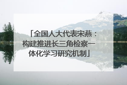 全国人大代表宋燕：构建推进长三角检察一体化学习研究机制