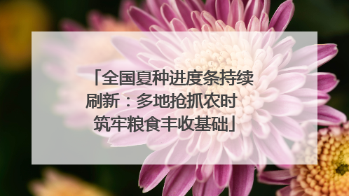 全国夏种进度条持续刷新：多地抢抓农时 筑牢粮食丰收基础