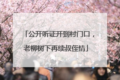 公开听证开到村门口，老柳树下再续叔侄情
