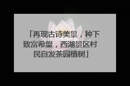 再现古诗美景，种下致富希望，西湖景区村民自发茶园植树