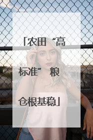 农田“高标准” 粮仓根基稳