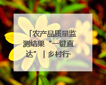 农产品质量监测结果“一键直达”｜乡村行·看振兴