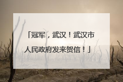 冠军，武汉！武汉市人民政府发来贺信！