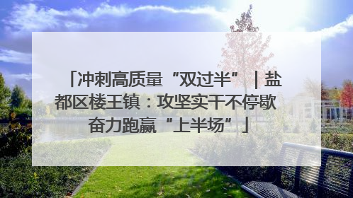 冲刺高质量“双过半”｜盐都区楼王镇：攻坚实干不停歇 奋力跑赢“上半场”