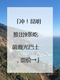 冲！昆明推出9条吃菌观光巴士，票价→
