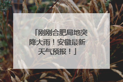 刚刚合肥局地突降大雨！安徽最新天气预报！