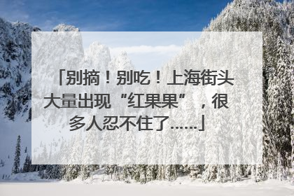 别摘！别吃！上海街头大量出现“红果果”，很多人忍不住了……
