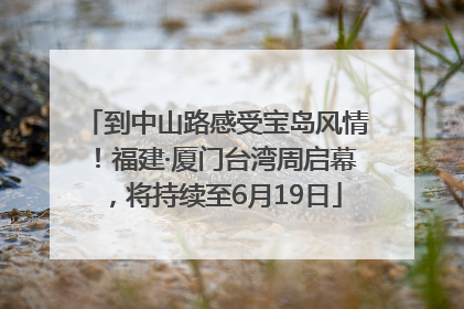 到中山路感受宝岛风情！福建·厦门台湾周启幕，将持续至6月19日
