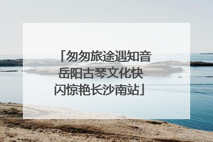 匆匆旅途遇知音 岳阳古琴文化快闪惊艳长沙南站