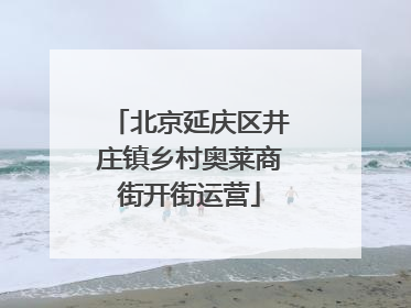 北京延庆区井庄镇乡村奥莱商街开街运营