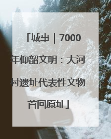 城事｜7000年仰韶文明：大河村遗址代表性文物首回原址